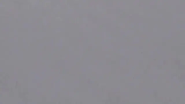 Japanese girls show hairy pussies while peeing in public