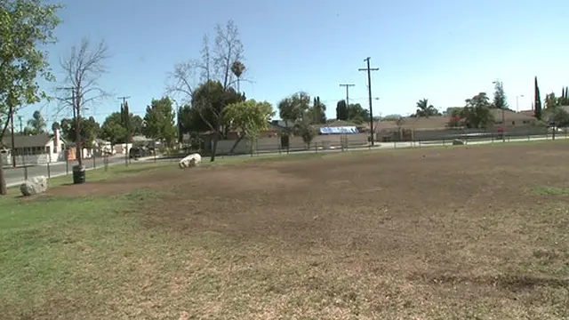 Slender Latina brunette Amia Miley enjoys intense sex with tattooed Asian man